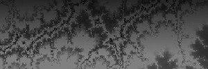 Header Blank
