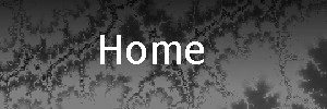 Header Home